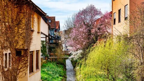 Blick von der Mittelbrücke in Bensheim
