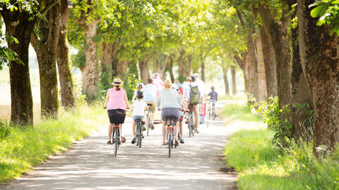 Eine Gruppe Radfahrer zwischen Bäumen