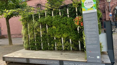 Bühen: Mobiles grünes Zimmer